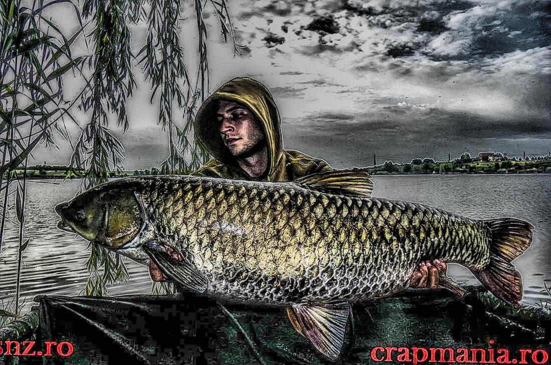 Cupa Seniorilor 2013 - 1010920hdrmode2.JPG